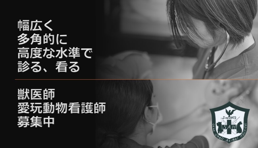 職員募集について