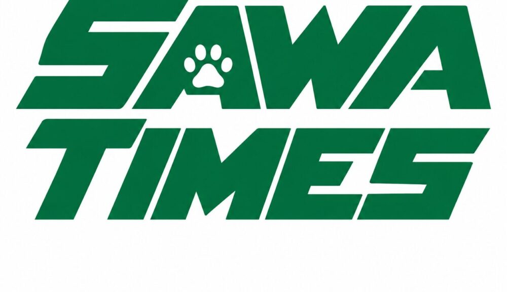 サワタイムズ一覧